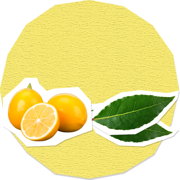 4U Limon Aromalı Gazlı İçecek