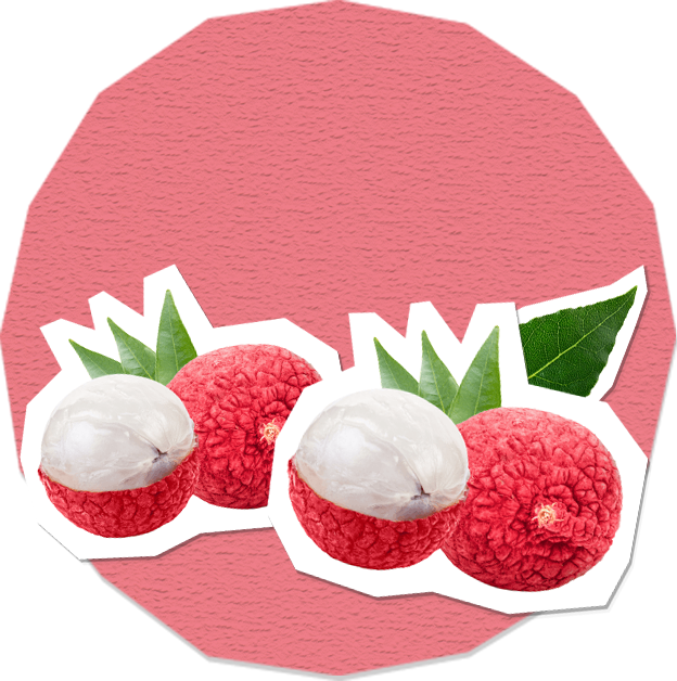 4U Litçi Aromalı Gazlı Su